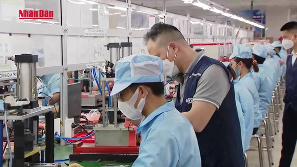 [Video] Nhiều địa phương công bố mức lương, thưởng Tết của doanh nghiệp 