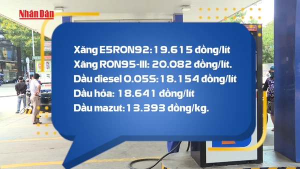 [Video] Giá xăng dầu giảm trong kỳ điều hành ngày 11/12