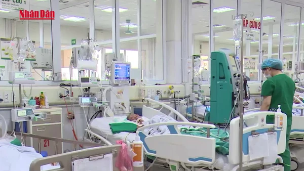 [Video] Số ca mắc cúm A gia tăng, người dân chủ động áp dụng các biện pháp phòng bệnh