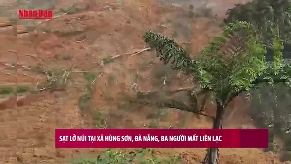 [Video] Sạt lở núi tại xã Hùng Sơn, Đà Nẵng, ba người mất liên lạc