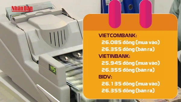 [Video] Đồng USD suy yếu sau đợt tăng mạnh