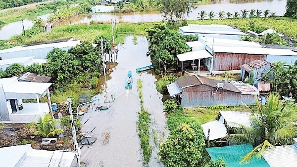 Một góc khu tái định cư Kênh Tư (ấp Lung Tràm, xã Khánh Hưng) bị ngập úng.