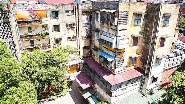 Khu tập thể Thành Công (phường Giảng Võ) đang được lập quy hoạch để cải tạo, xây mới.