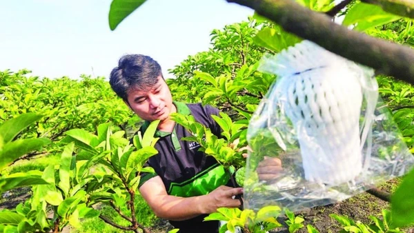 Tác động gián tiếp khi thuế và các chi phí liên quan tăng, giá phân bón, vật tư leo thang, kéo theo chi phí sản xuất của nông dân và hợp tác xã tăng theo.