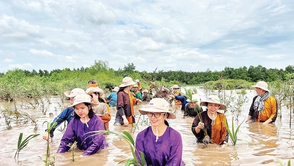 Người dân đầu tư, phát triển du lịch sinh thái bên cù lao Lá (ấp Tân Quý, xã Mỹ Chánh Hòa, tỉnh Vĩnh Long).