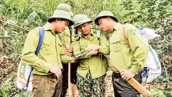 Lực lượng Kiểm lâm Vườn quốc gia Pù Mát ứng dụng công nghệ trong tuần tra, quản lý, bảo vệ rừng.