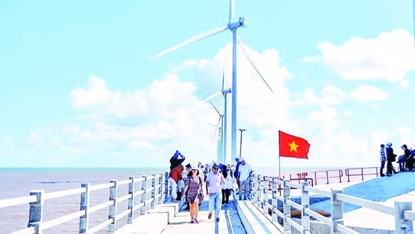 Du khách đến Bạc Liêu, nay là tỉnh Cà Mau, rất thích thú khi được trực tiếp đến thăm các turbine điện gió ngoài khơi.