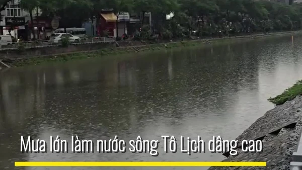 Mưa lớn khiến nước sông Tô Lịch dâng cao
