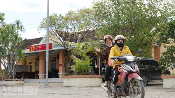 Hoa sẽ vàng và cỏ sẽ lại xanh