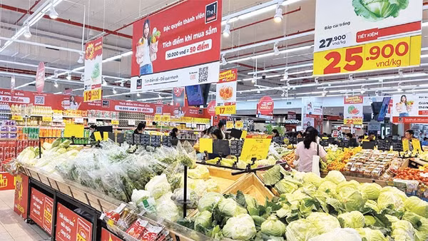 Nhiều siêu thị đã ký hợp đồng với các Hợp tác xã cung ứng rau xanh ra thị trường dịp cuối năm.