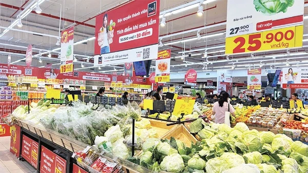 Nhiều siêu thị đã ký hợp đồng với các Hợp tác xã cung ứng rau xanh ra thị trường dịp cuối năm.