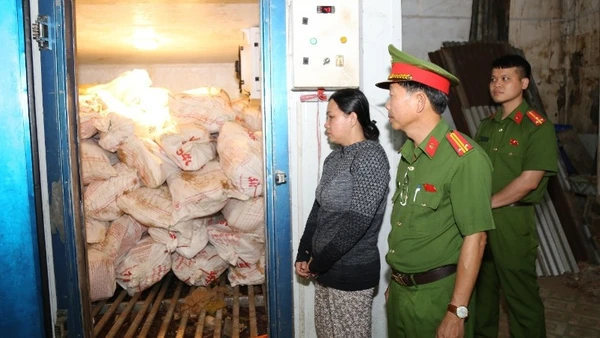 Lực lượng chức năng kiểm tra kho bảo quản lợn chết của Lê Thị Bích Phượng.