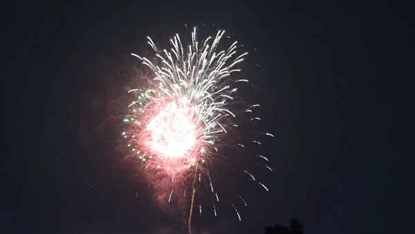 Tỉnh Đồng Nai sẽ tổ chức 10 bắn pháo hoa trong đêm giao thừa Tết Nguyên đán Bính Ngọ 2026.