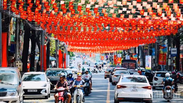 [Ảnh] Rực rỡ cờ hoa ở Đồng Nai chào mừng các ngày lễ lớn