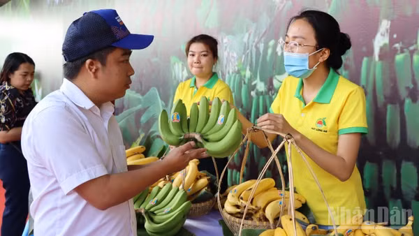 Đồng Nai được xem là thủ phủ chuối của khu vực phía nam và cả nước.