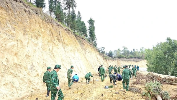 Cán bộ, chiến sĩ Đồn Biên phòng Bản Máy cùng nhân dân tham gia trồng 1.200 cây sa mộc xây dựng “Vành đai biên giới xanh”. 