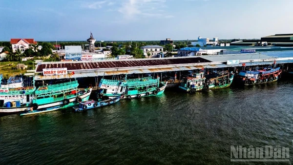 Với chính sách mới vừa ban hành, ngư dân Cà Mau được hỗ trợ 100% chi phí cước thuê bao hằng tháng trên thiết bị VMS đến hết năm 2028.