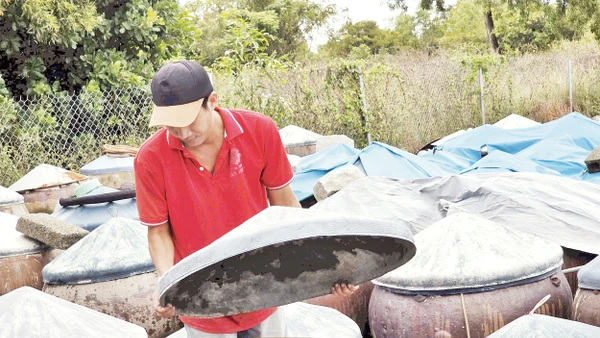 Nghề làm nước mắm Phan Thiết (Bình Thuận cũ, nay là Lâm Đồng). 