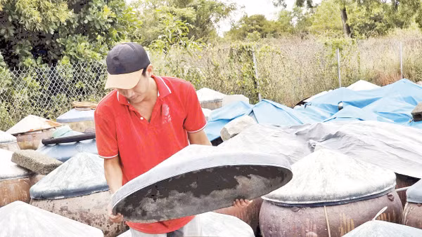 Nghề làm nước mắm Phan Thiết (Bình Thuận cũ, nay là Lâm Đồng). 