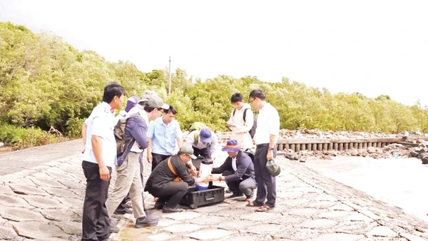 Đo cảm biến IoT năng lượng mặt trời giám sát mực nước, độ mặn ở Cà Mau. 