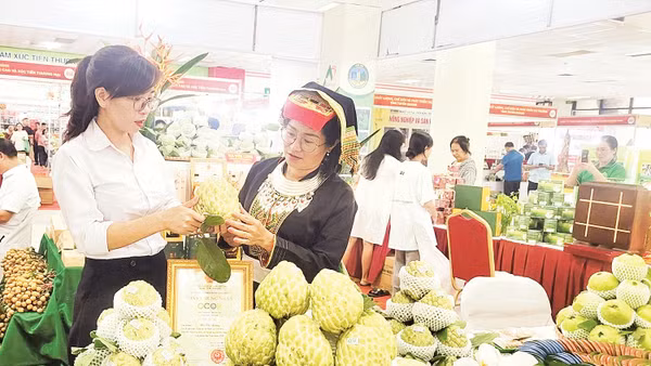 Sản phẩm na Chi Lăng, tỉnh Lạng Sơn, được quảng bá trong Phiên chợ nông sản, đặc sản vùng miền diễn ra tại Hà Nội.