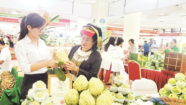 Sản phẩm na Chi Lăng, tỉnh Lạng Sơn, được quảng bá trong Phiên chợ nông sản, đặc sản vùng miền diễn ra tại Hà Nội.