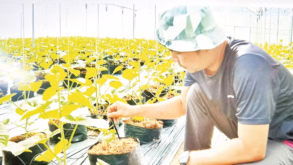 Tỉnh Đồng Nai xây dựng thành công nhiều mô hình nông nghiệp xanh. 