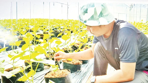 Tỉnh Đồng Nai xây dựng thành công nhiều mô hình nông nghiệp xanh. 