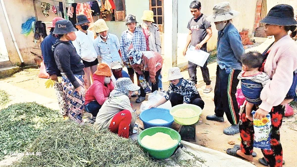 Lớp học phòng và trị bệnh cho vật nuôi.