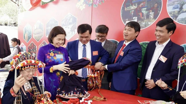 Phó Chủ tịch UBND tỉnh Phùng Thị Kim Nga và các đại biểu tham quan các khu trưng bày giới thiệu nét đẹp văn hoá, sản phẩm, món ăn đặc sắc của địa phương.