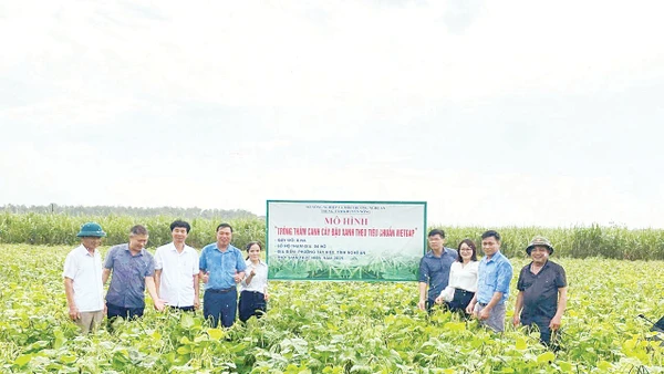 Nguyên tắc quan trọng nhất là phải tìm được đầu ra và ký kết bao tiêu sản phẩm trước khi tổ chức sản xuất. 