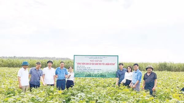 Nguyên tắc quan trọng nhất là phải tìm được đầu ra và ký kết bao tiêu sản phẩm trước khi tổ chức sản xuất. 