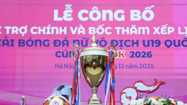 Các giải bóng đá trẻ là nền tảng cho đội tuyển quốc gia.