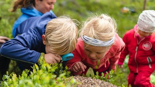 Trẻ em có cơ hội khám phá một cách độc lập trong giờ học.