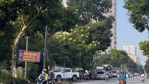 Dự báo khu vực Hà Nội ngày nắng nóng. (Ảnh minh họa: Đ.T)