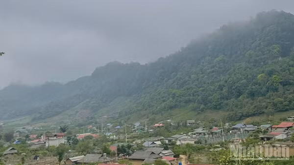Dự báo khu vực vùng núi và trung du Bắc Bộ có mưa vừa, mưa to và dông. (Ảnh minh họa: Đ.T)