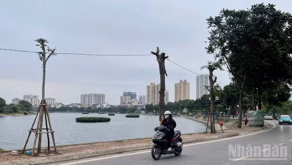 Dự báo khu vực Hà Nội trời rét đậm, có nơi rét hại.