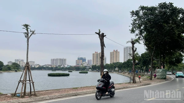 Dự báo khu vực Hà Nội trời rét đậm, có nơi rét hại.