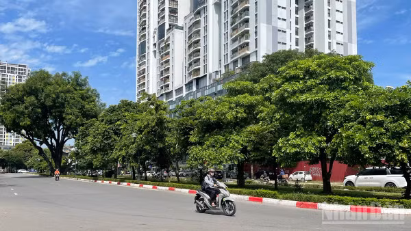 Dự báo khu vực Hà Nội ngày nắng, chiều tối và đêm có mưa rào rải rác và có nơi có dông. (Ảnh minh họa: Đ.T)