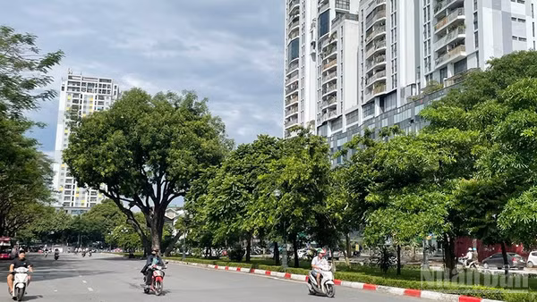 Dự báo khu vực đồng bằng có nắng nóng, có nơi nắng nóng gay gắt. (Ảnh minh họa: Đ.T)