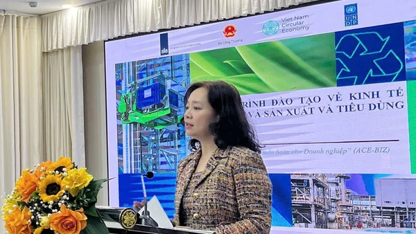 Bà Nguyễn Thị Lâm Giang, Cục trưởng Cục đổi mới sáng tạo, Chuyển đổi xanh và Khuyến công phát biểu khai mạc.