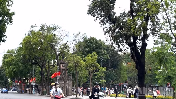 Nhiệt độ tại Hà Nội đo lúc 13 giờ ở trạm Láng là 36,6 độ C. (Ảnh minh họa: Đ.T)