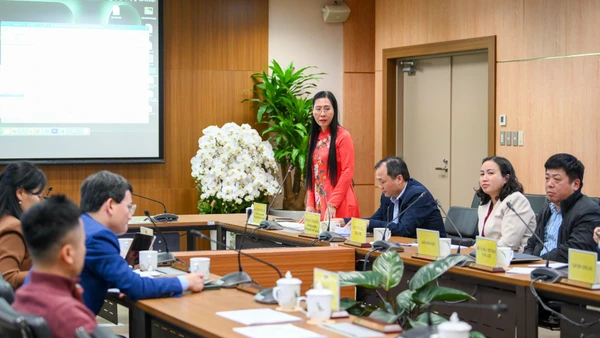 Ủy viên Trung ương Đảng, Phó Trưởng Ban tổ chức Trung ương Bùi Thị Quỳnh Vân phát biểu tại cuộc họp.