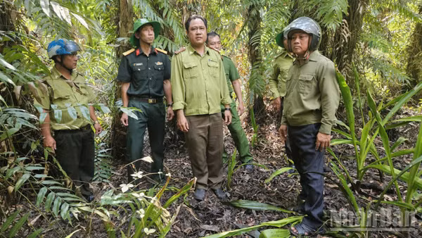 Đoàn công tác của Ban Chỉ đạo phòng cháy, chữa cháy rừng thành phố Cần Thơ kiểm tra thực địa Khu bảo tồn thiên nhiên Lung Ngọc Hoàng.