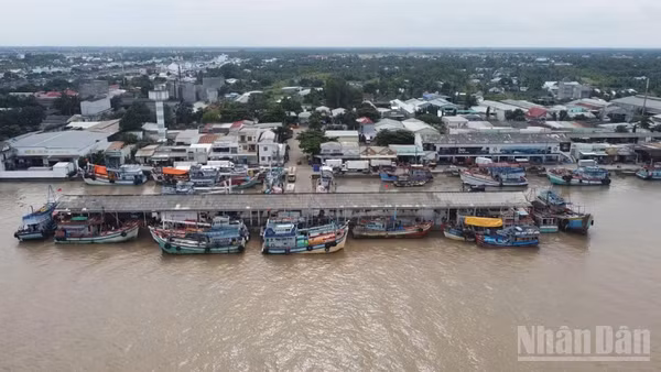 Cảng cá Trần Đề, xã Trần Đề, thành phố Cần Thơ nhìn từ trên cao.