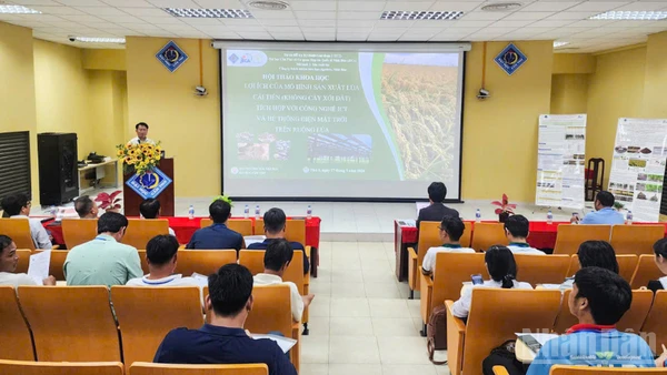 Quang cảnh hội thảo.