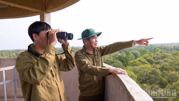 Lực lượng bảo vệ rừng ở Khu bảo tồn thiên nhiên Lung Ngọc Hoàng quan sát, kiểm tra phòng cháy, chữa cháy. 