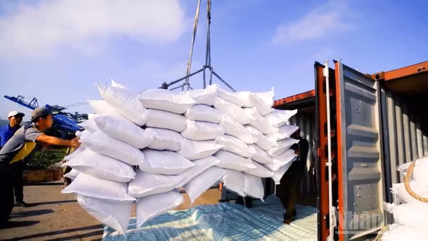 Chi phí logistics tại Đồng bằng sông Cửu Long đang bào mòn năng lực cạnh tranh của doanh nghiệp.