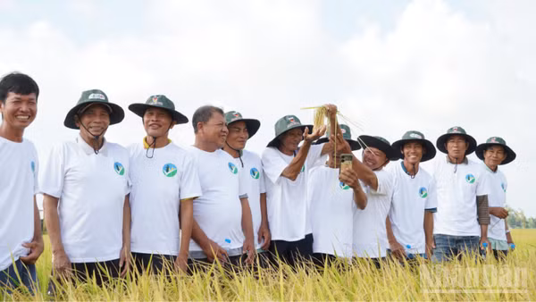 Đại biểu và nông dân tham quan mô hình sản xuất lúa tại Hợp tác xã Kiến Thành, xã Vị Thanh 1, thành phố Cần Thơ.