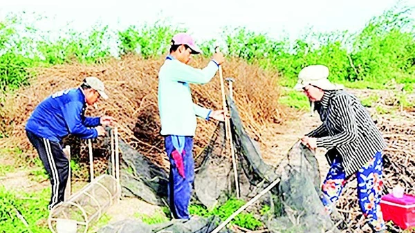 Mô hình du lịch trải nghiệm, kiểm soát chuột bằng chất chà chuột.